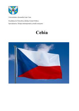 Proiect - Politica externă și diplomația Cehiei