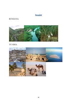 Referat - Impactul Turismului Asupra Economiei Tunisiei și României