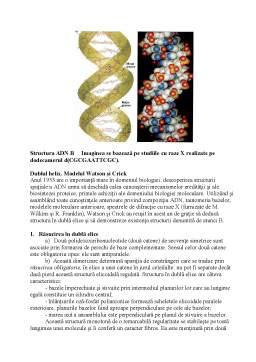 Referat - Nanotehnologia ADN-ului Supramolecular