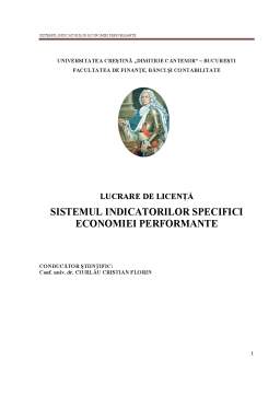 Licență - Sistemul indicatorilor specifici economiei performanțe