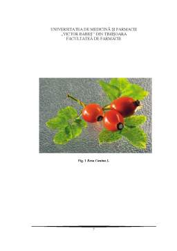 Licență - Produse Vegetale de la Specii din Familia Rosaceae