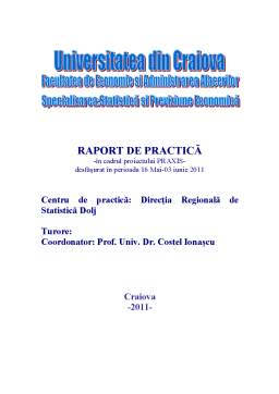 Proiect - Raport de practică - Direcția Regională de Statistică Dolj