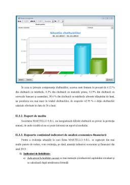Proiect - Raportări Financiare ale Entităților Economice