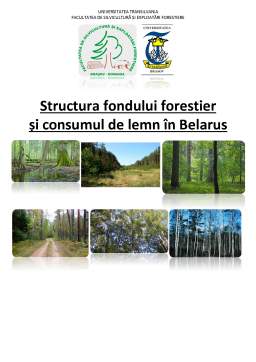 Referat - Structura fondului forestier în Belarus