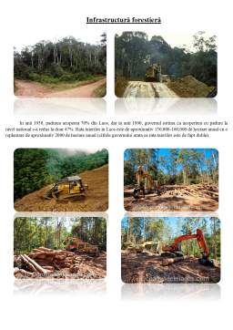 Referat - Structura fondului forestier în Laos
