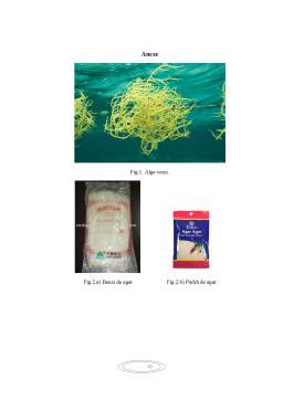Proiect - Aditivi alimentări - caragenan și agar agar