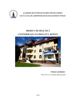 Proiect - Proiect de practică - confederația patronatul român