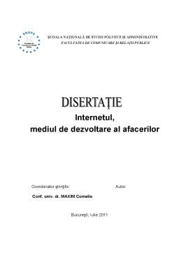 Disertație - Internetul - Mediul de Dezvoltare al Afacerilor