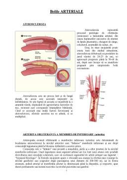 Referat - Sistemul Arterial