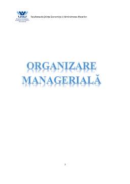 Referat - Organizare Managerială