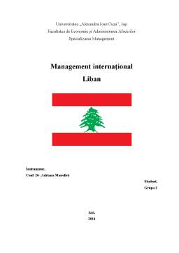 Proiect - Liban - management internațional