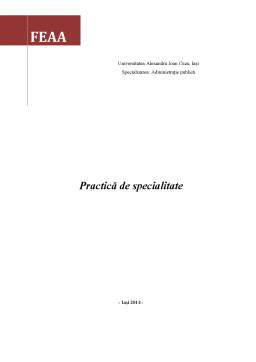 Proiect - Practică de specialitate - organizarea și funcționarea instituției prefectului Județului Iași