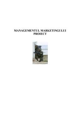 Proiect - Managementul Marketingului