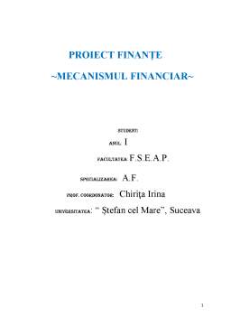 Proiect - Mecanismul Financiar