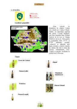 Proiect - Tehnici promoționale - vin Cotnari