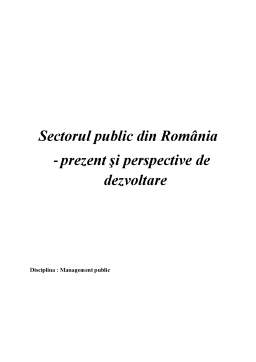 Referat - Management Public - Sectorul Public din România - Prezent și Perspective de Dezvoltare