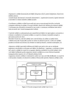 Referat - Principiile și funcțiile managementului calității