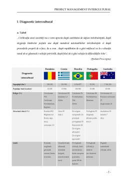 Proiect - Proiect Management Intercultural