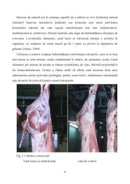 Referat - Pericole chimice din produsele alimentare de origine animală - substanțele tireostatice