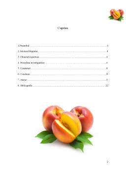 Proiect - Raport de Expertiză Asupra Produsului Compot de Nectarine