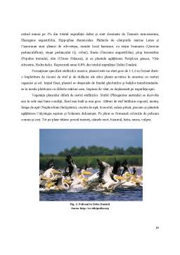 Proiect - Delta Dunării - diversitatea potențialului turistic