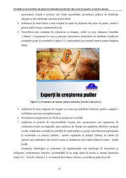 Licență - Evoluții și caracteristici ale pieței în domeniul produselor din carne de pasăre și ouă de consum