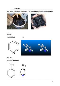 Proiect - 4 metil piridină