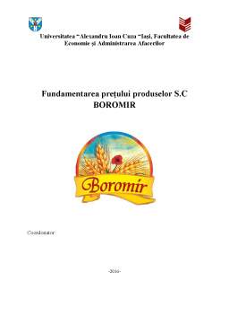 Proiect - Fundamentarea prețului produselor SC Boromir