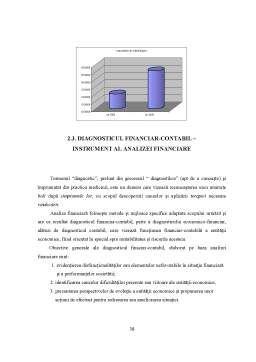 Disertație - Analiza indicatorilor economico-financiari la SC Silvana SA Cehu-Silvaniei