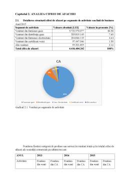 Proiect - Analiza cifrei de afaceri la Engie România SA