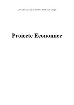 Proiect - Proiect economic