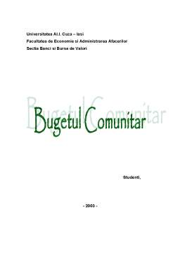 Referat - Bugetul Comunitar