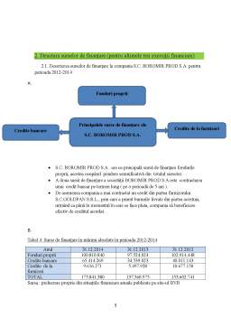 Proiect - Analiza surselor de finanțare ale întreprinderii SC Boromir Prod SA