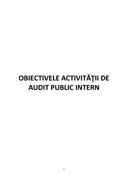 Referat - Obiectivele activității de audit public intern