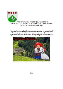 Referat - Organizarea și eficența economică a pensiunii agroturistice Mărioara din județul Maramure