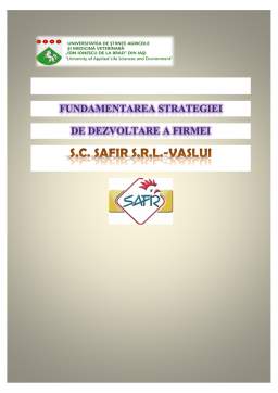 Proiect - Fundamentarea strategiei de dezvoltare a firmei SC Safir SRL