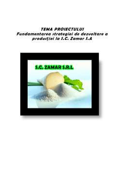 Proiect - Fundamentarea strategiei de dezvoltare a producției la firma SC Zamar SA