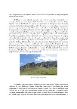 Disertație - Munții Trăscău - potențial turistic