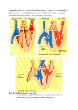 Referat - Aspectul radioimagistic în afecțiunile cardiovasculare