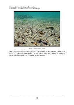 Licență - Evaluare ecotoxicologică prin intermediul biotestelor a litoralului românesc al Mării Negre