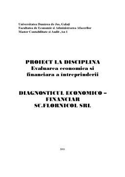 Proiect - Evaluarea economica și financiara a întreprinderii