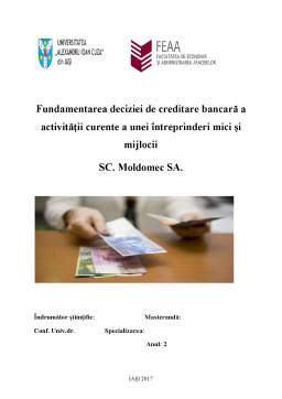 Proiect - Fundamentarea deciziei de creditare bancară a activității curente a unei întreprinderi mici și mijlocii - SC Moldomec SA