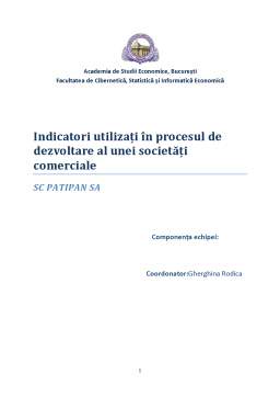 Proiect - Indicatori utilizați în procesul de dezvoltare al unei societăți comerciale SC PATIPAN SA