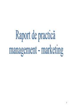 Proiect - Raport practică management - marketing