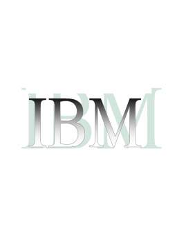 Referat - Corporații - IBM