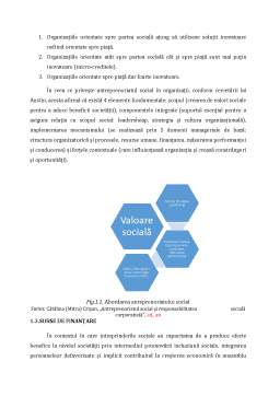 Licență - Antreprenoriatul social - studiu de caz România și Marea Britanie