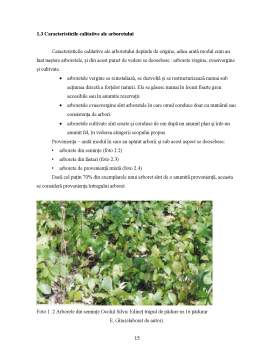 Licență - Studiul fondului de protecție și producția arboretelor