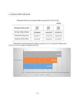 Referat - Analiza bugetului municipiului Zalău