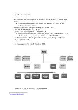 Proiect - Sistemul logistic al SC. Nestle SRL