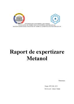 Referat - Raport de expertizare - Metanol